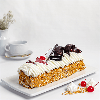 פסי פרימיום